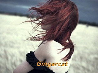 Gingercat