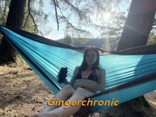 Gingerchronic