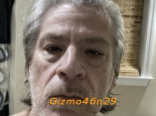Gizmo46n29