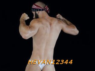 HEVAN12344