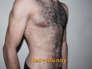 HairyBunny