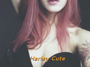 Harley_Cute