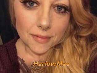 Harlow_Mae
