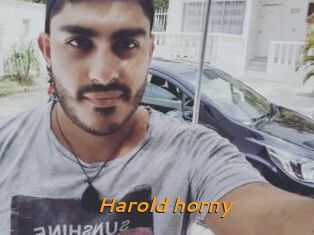Harold_horny