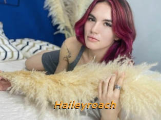 Haileyroach