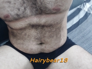 Hairybear18