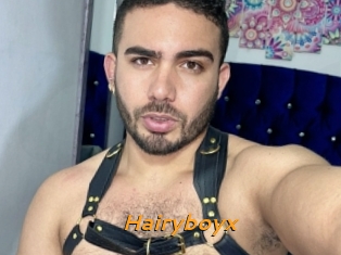 Hairyboyx