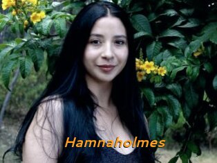 Hamnaholmes