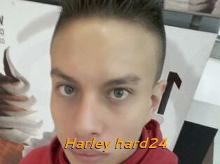 Harley_hard24