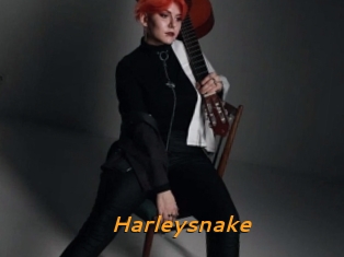Harleysnake