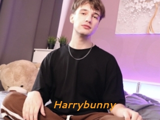 Harrybunny