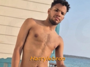 Harrylebron