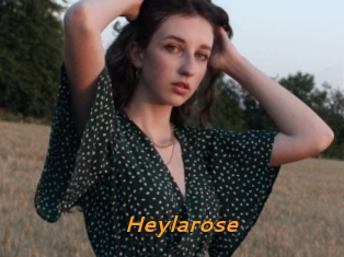 Heylarose