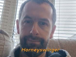 Horneyswinger