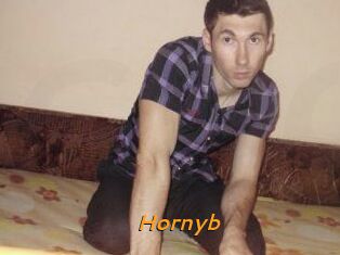 Hornyb