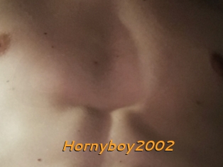 Hornyboy2002