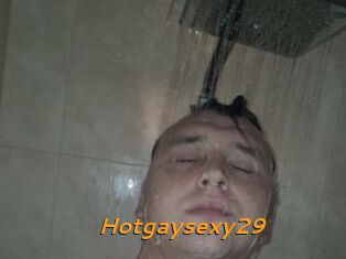Hotgaysexy29