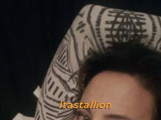 Itastallion