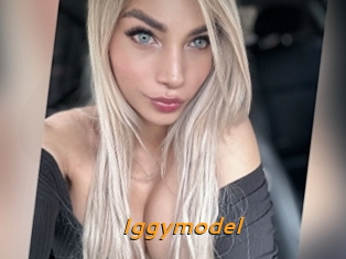 Iggymodel