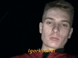 Igorkoshel