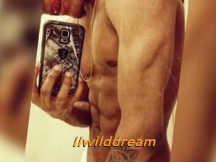 Iiwilddream