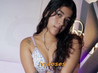 Ivyroses