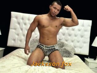 Jacksson_fox
