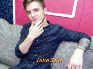JakeSulii