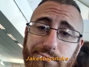 Jakesbigsnake