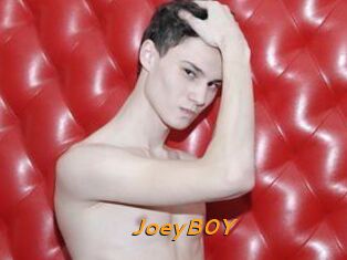 JoeyB0Y