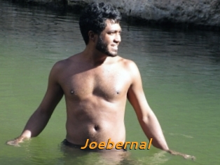 Joebernal