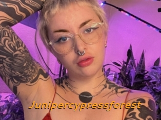 Junipercypressforest