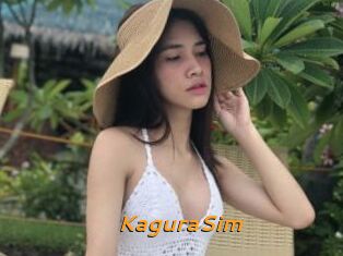 KaguraSim