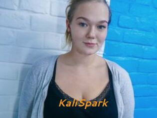 KaliSpark