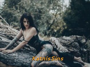 KatnisSins