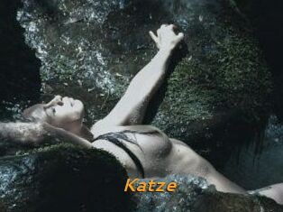 Katze