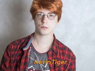 KevinTiger