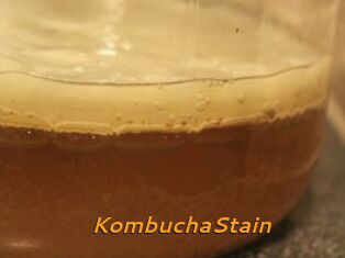 KombuchaStain
