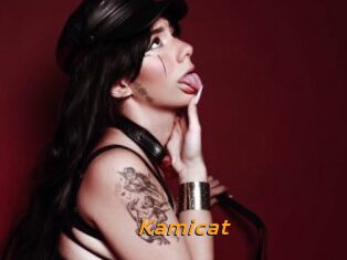 Kamicat