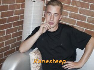 Kanesteep