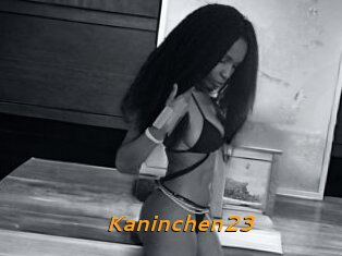 Kaninchen23