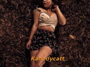 Kanndycatt
