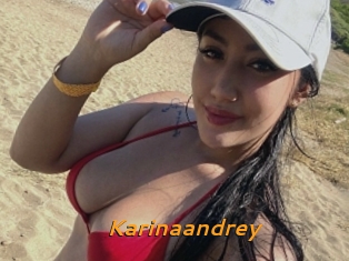 Karinaandrey