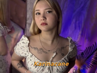 Karinacane