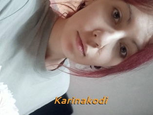 Karinakodi