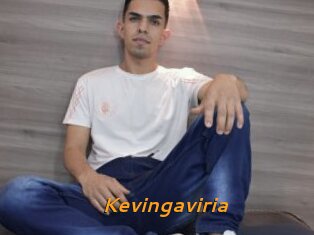 Kevingaviria