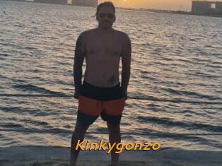 Kinkygonzo