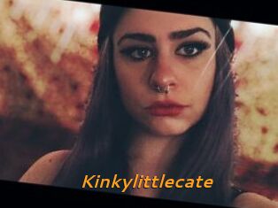 Kinkylittlecate