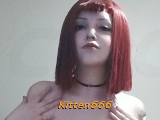 Kitten666