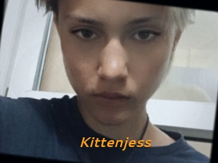 Kittenjess